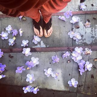 Cristina Umaña feet photo 8