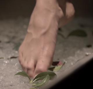 Crystal Reed feet photo thumbnail