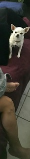 Crystle Lightning feet photo 19