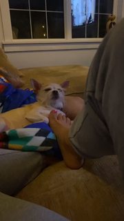 Crystle Lightning feet photo 8