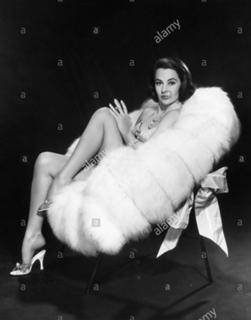 Cyd Charisse feet photo 16