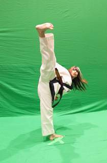 Cynthia Rothrock feet photo thumbnail