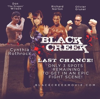 Cynthia Rothrock feet photo thumbnail