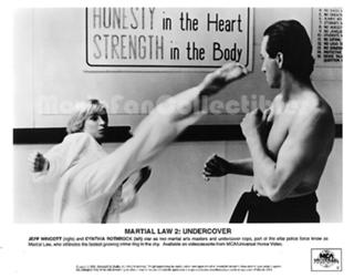 Cynthia Rothrock feet photo thumbnail