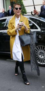 Céline Dion feet photo thumbnail