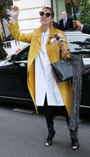 Céline Dion feet photo thumbnail