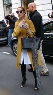 Céline Dion feet photo thumbnail