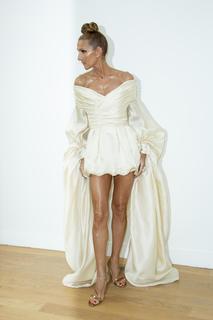 Céline Dion feet photo thumbnail