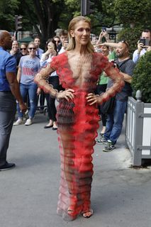 Céline Dion feet photo thumbnail
