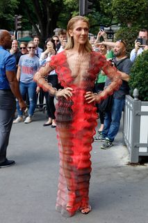 Céline Dion feet photo 6