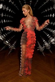 Céline Dion feet photo 1