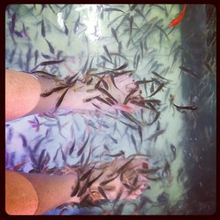 Dafne Fernández feet photo thumbnail