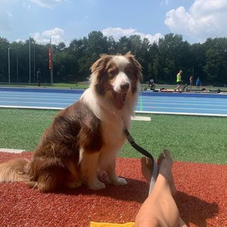 Dafne Schippers feet photo 16