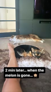 Dafne Schippers feet photo 20