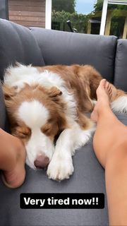 Dafne Schippers feet photo 18