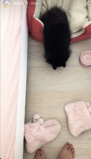 Dagi Bee feet photo thumbnail