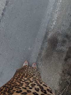 Dagi Bee feet photo 4