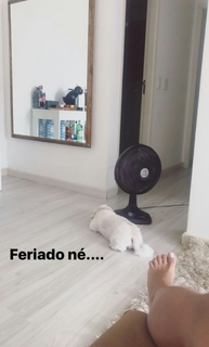 Dai Macedo feet photo 6
