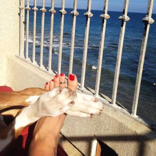 Daisy Fuentes feet photo thumbnail