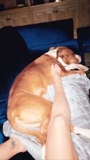 Daisy Fuentes feet photo thumbnail