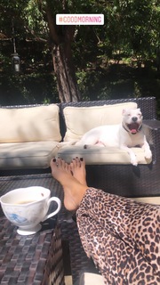 Daisy Fuentes feet photo thumbnail