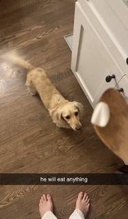 Daisy Keech feet photo thumbnail