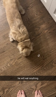 Daisy Keech feet photo thumbnail