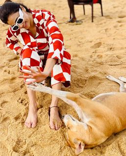 Daisy Shah feet photo 8