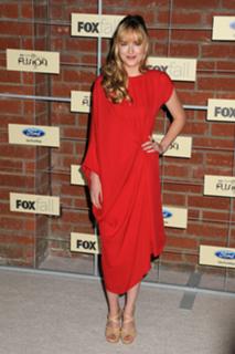 Dakota Johnson feet photo thumbnail