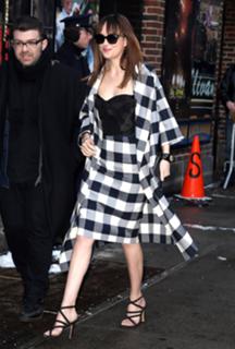 Dakota Johnson feet photo thumbnail