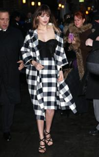 Dakota Johnson feet photo thumbnail