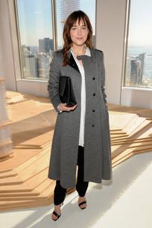 Dakota Johnson feet photo thumbnail