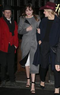 Dakota Johnson feet photo thumbnail