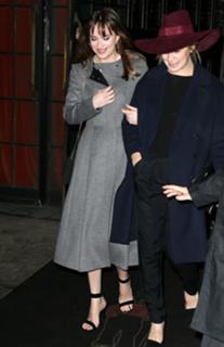 Dakota Johnson feet photo thumbnail