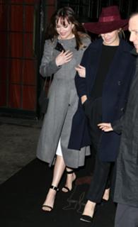 Dakota Johnson feet photo thumbnail