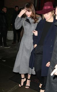 Dakota Johnson feet photo thumbnail