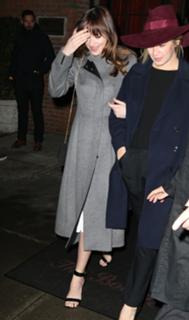 Dakota Johnson feet photo thumbnail