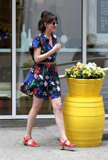Dakota Johnson feet photo thumbnail