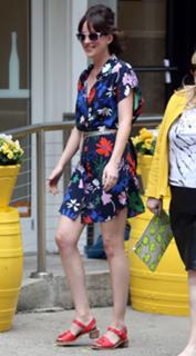 Dakota Johnson feet photo thumbnail