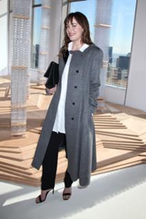 Dakota Johnson feet photo thumbnail