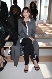 Dakota Johnson feet photo thumbnail