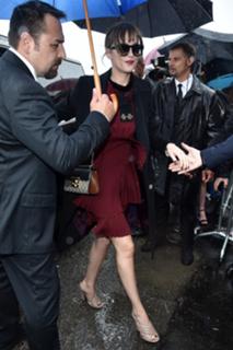 Dakota Johnson feet photo thumbnail
