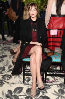 Dakota Johnson feet photo thumbnail