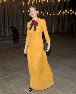 Dakota Johnson feet photo thumbnail