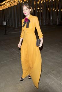 Dakota Johnson feet photo thumbnail