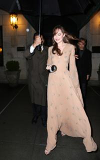 Dakota Johnson feet photo thumbnail