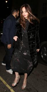 Dakota Johnson feet photo thumbnail