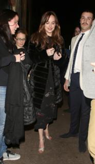 Dakota Johnson feet photo thumbnail