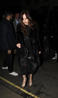 Dakota Johnson feet photo thumbnail