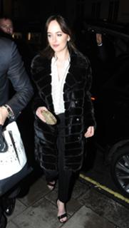 Dakota Johnson feet photo thumbnail